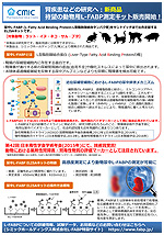 腎疾患などの研究へ：動物用L-FABP測定キット販売開始